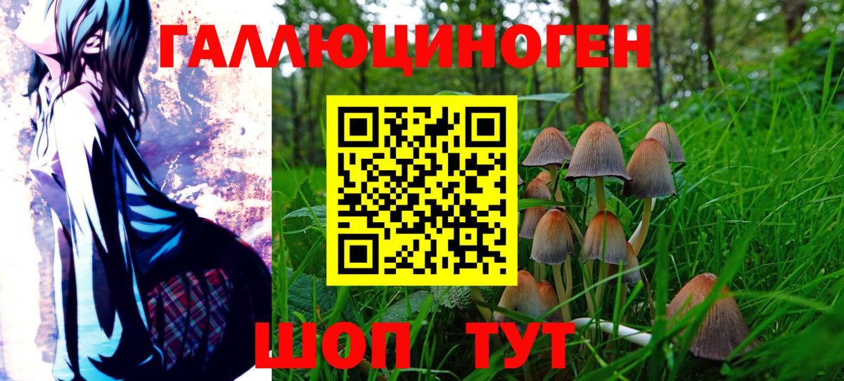 Псилоцибиновые грибы ЛСД Тамбов